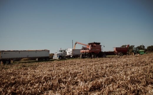 Tractors and harvesters working in a sunlit cropland during harvest season.